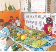 Océane (à droite), de Thupenegum, présente au public les travaux sur la culture de l'igname.