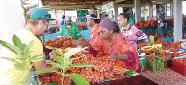 Le letchi à toutes les saucesLes plants de letchi ont tous été vendus avant 10 h 30. Sans attendre la prochaine édition, beaucoup de personnes pensent déjà à commander directement des plants chez les producteurs. Plus de cinq cents visiteurs sont venus de
