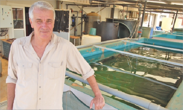 A l'échelle mondiale, Franck Le Garrec a lancé la toute première écloserie de picot rayé. Un pari ambitieux, alors que très peu de données existent sur le cycle de vie du poisson.