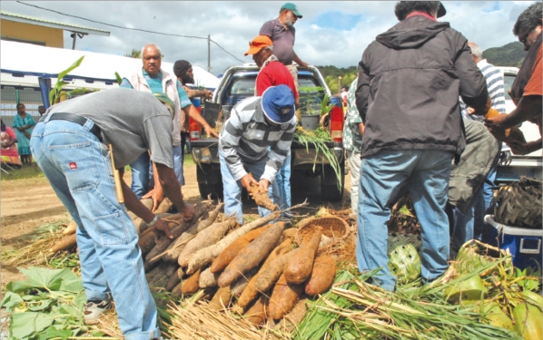 Les représentants de sept aires coutumières préparent la coutume de « bonjour », pour remercier les coutumiers de Canala d'accueillir la première « fête nationale de l'igname. »