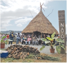 Les représentants coutumiers de Canala, au pied de la case fabriquée pour l'occasion, observent le tas d'ignames qui leur est offert.
