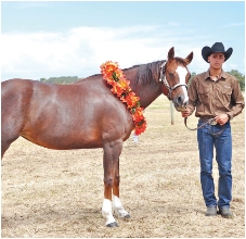 Walandra Pepsi Gold (propriétaire Fabian Devillers) s'est vue décerner le titre de Superchampionne de la Foire de Koumac 2015.