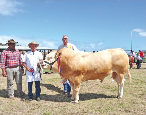 Idalgo, un mâle de race Blond Aquitaine, a été élu superchampion. De gauche à droite, Wilfrid Weiss, le maire, Roger Gérard, le propriétaire de la bête, et Philippe Rolland,  président de l'Upra bovine.