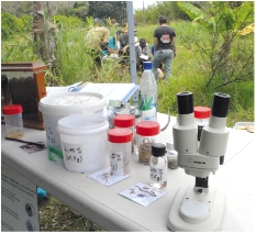 Beaucoup de producteurs cherchent à améliorer leurs connaissances scientifiques du milieu pour progresser techniquement.