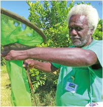 Pas de pesticide mais des solutions bio. Pour lutter contre les ravageurs, on utilise d'autres insectes, ici capturés au filet.