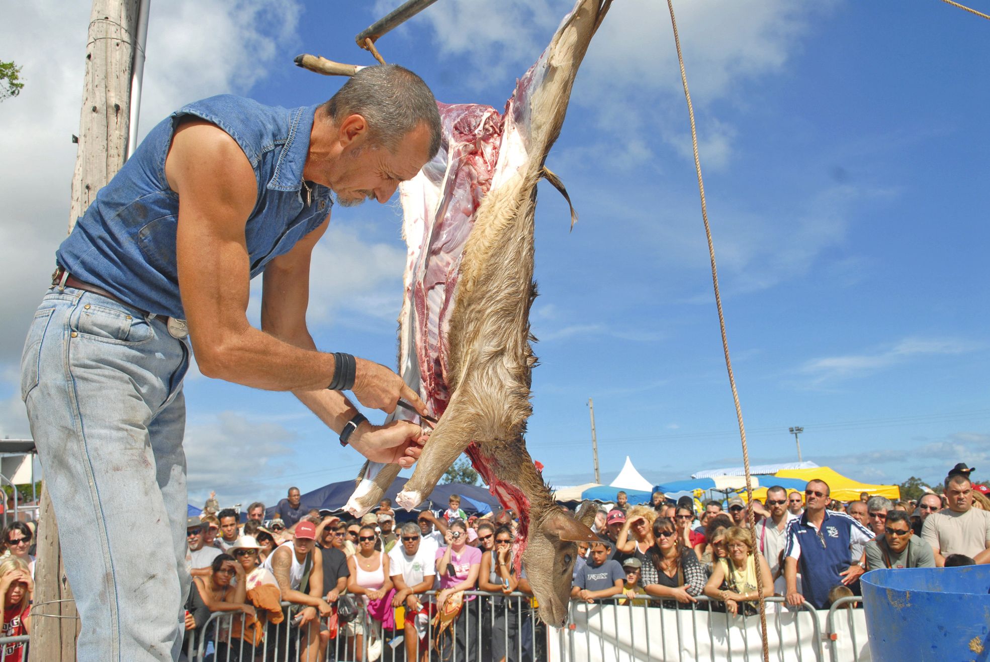 Le Fête du cerf et de la crevette, qui se déroule au mois de mai à Boulouparis et va fêter ses vingt années d'existence, met le cerf à l'honneur.