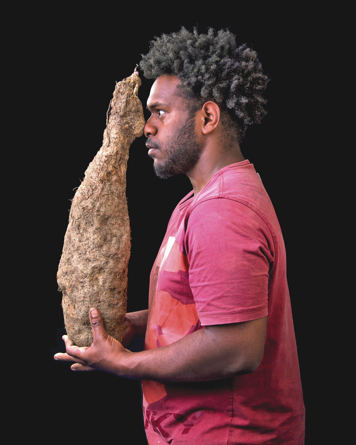 Première exposition de l'année, à compter du 30 avril, Yam. Le photographe Dominique Roberjot a travaillé sur l'igname dans différents pays mélanésiens.