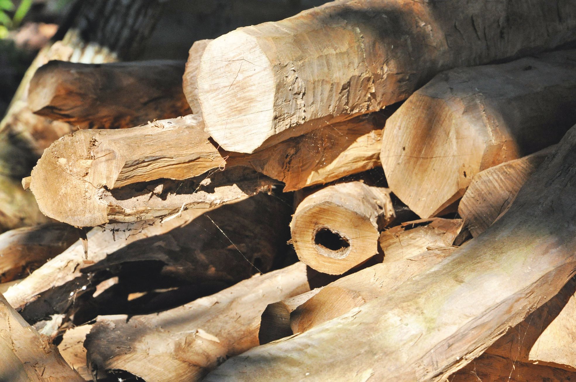 Les coupeurs de Lifou portaient trois revendications : fixer le prix du kilo de santal à 3 000 F pour tout acheteur, favoriser une meilleure organisation du marché en accord avec les grandes chefferies et rouvrir le marché du santal vers l'étranger.