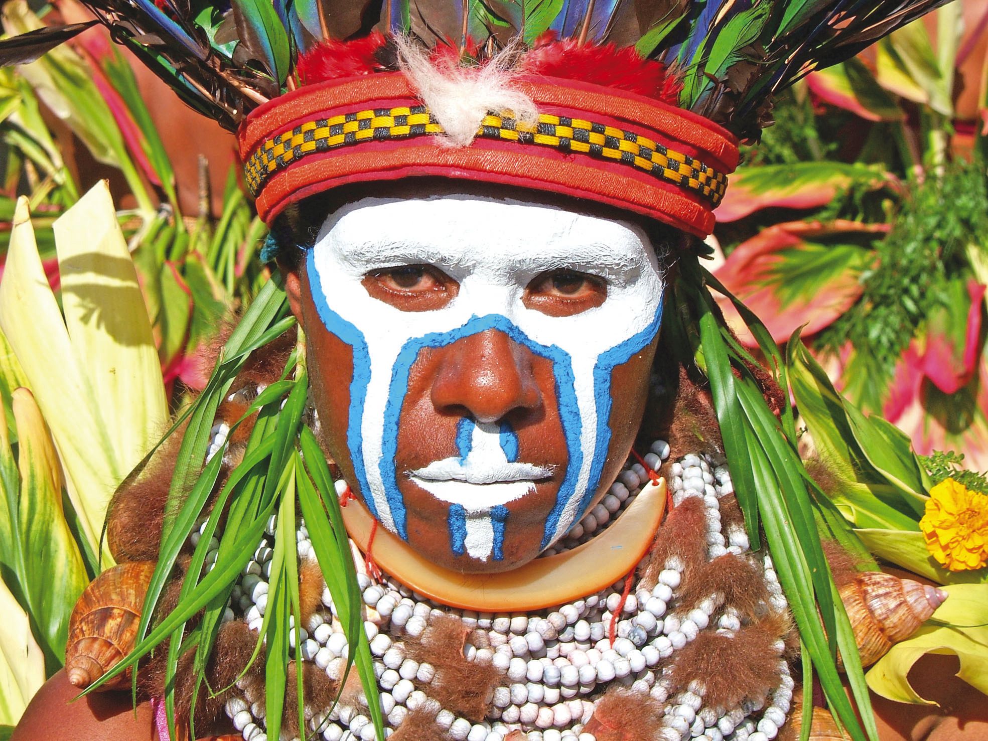 « Femme Melpa du Mont Hagen (Papouasie) ». Cette photo prise par Didier Zanette fait partie de la galerie de trente  portraits de Papous exposés.
