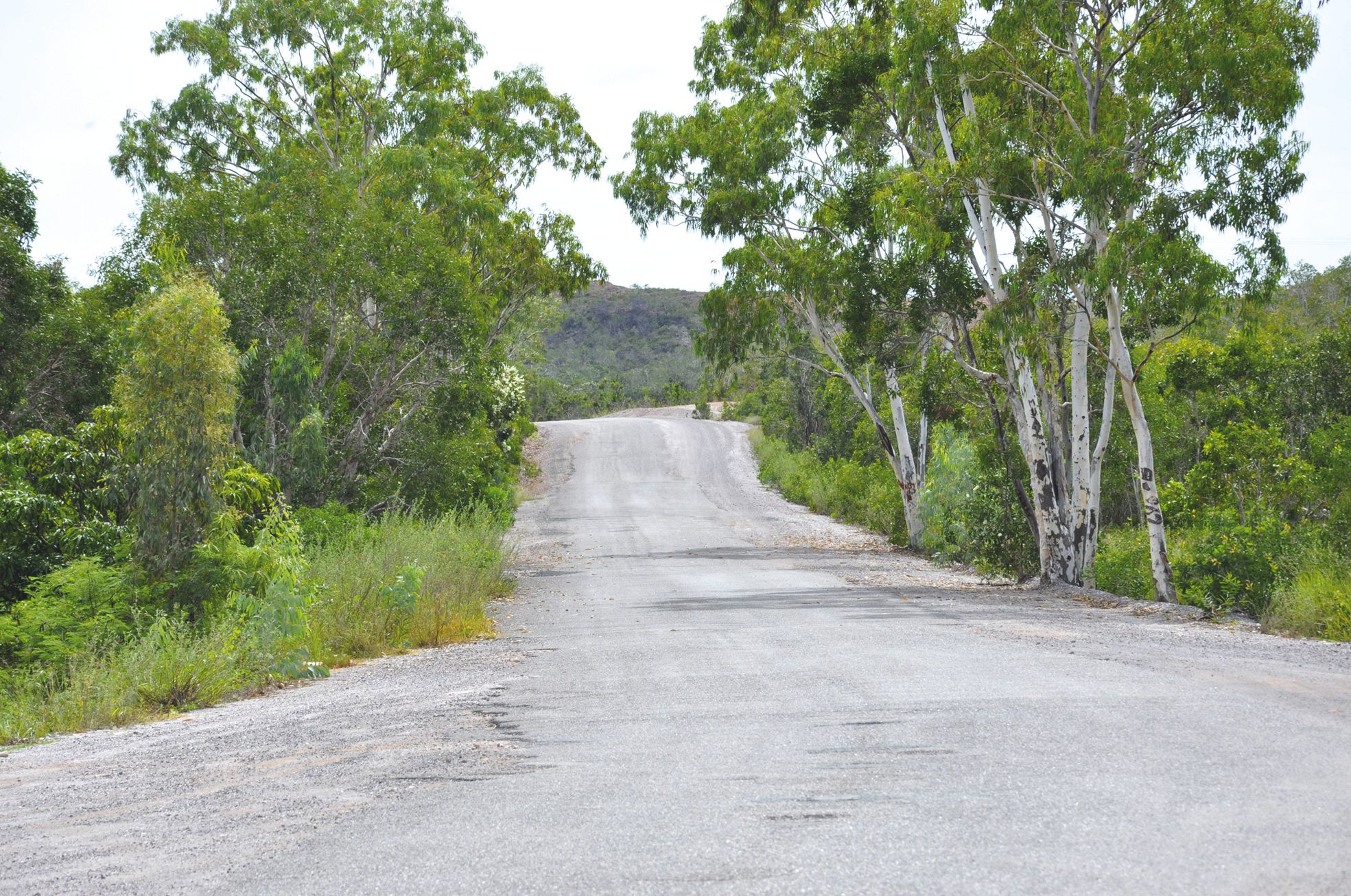 Goudronner les routes, une priorité dans le budget voté par l'équipe municipale.