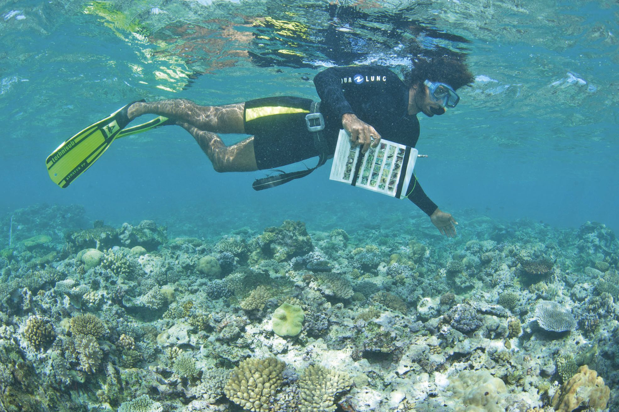 Sous l'eau, les volontaires reportent leurs observations sur une fiche.