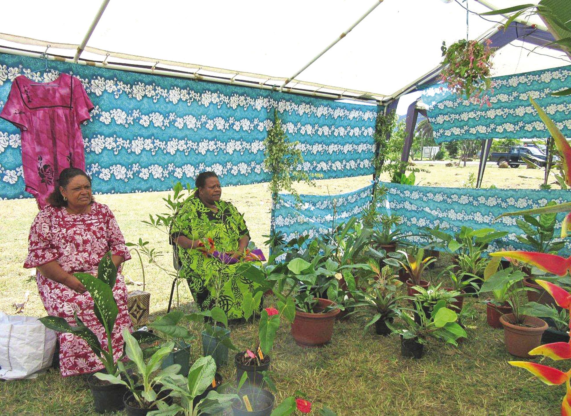 Une trentaine de stands proposaient des fleurs, des arbres fruitiers ou des plantes décoratives mais aussi des pâtisseries ou un vide-greniers. Des visites dans les jardins ont été organisées toute la journée pour les visiteurs qui pouvaient aussi appréci
