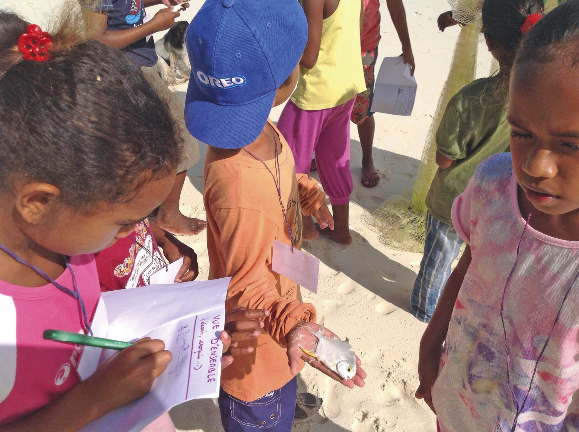 Ouvéa, mardi 3 mai. Carnet à la main, les enfants ont sillonné la plage et ont reporté leurs observations et leurs découvertes.