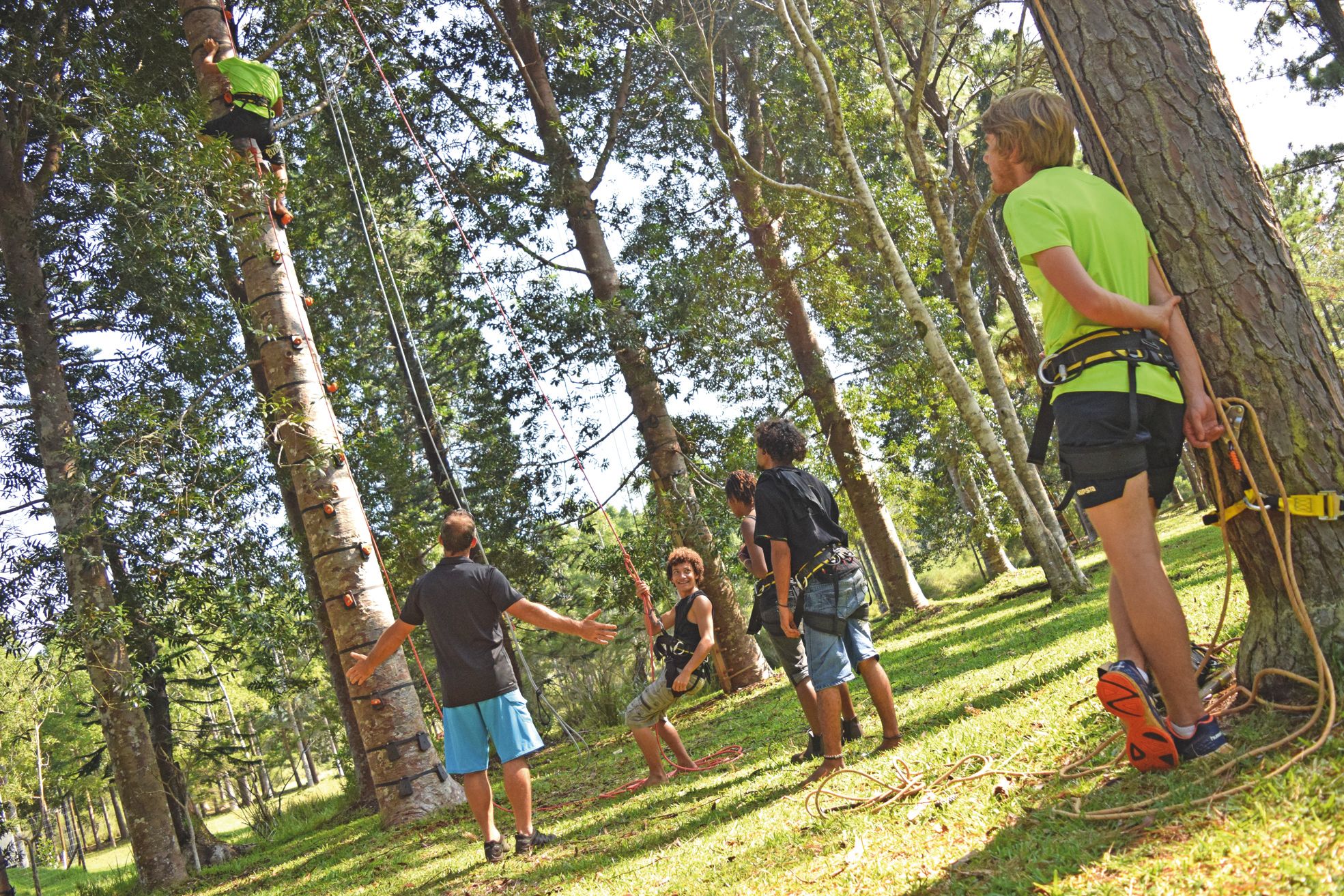 Jeudi 12 mai, au parc de la rivière Bleue, c'était jour de relâche pour les vingt et un élèves du lycée de Pouembout et leurs trois professeurs. Mais même en grimpant aux arbres, ils apprenaient les techniques de sécurité et d'élagage.