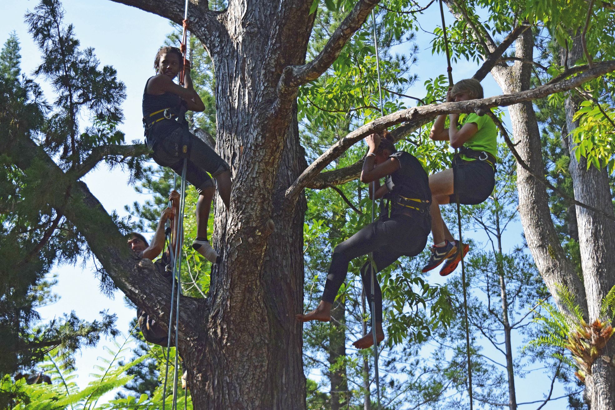 Les élèves sont restés au camp des kaoris durantquatre nuits. Un bon moyen pour souder la classe.