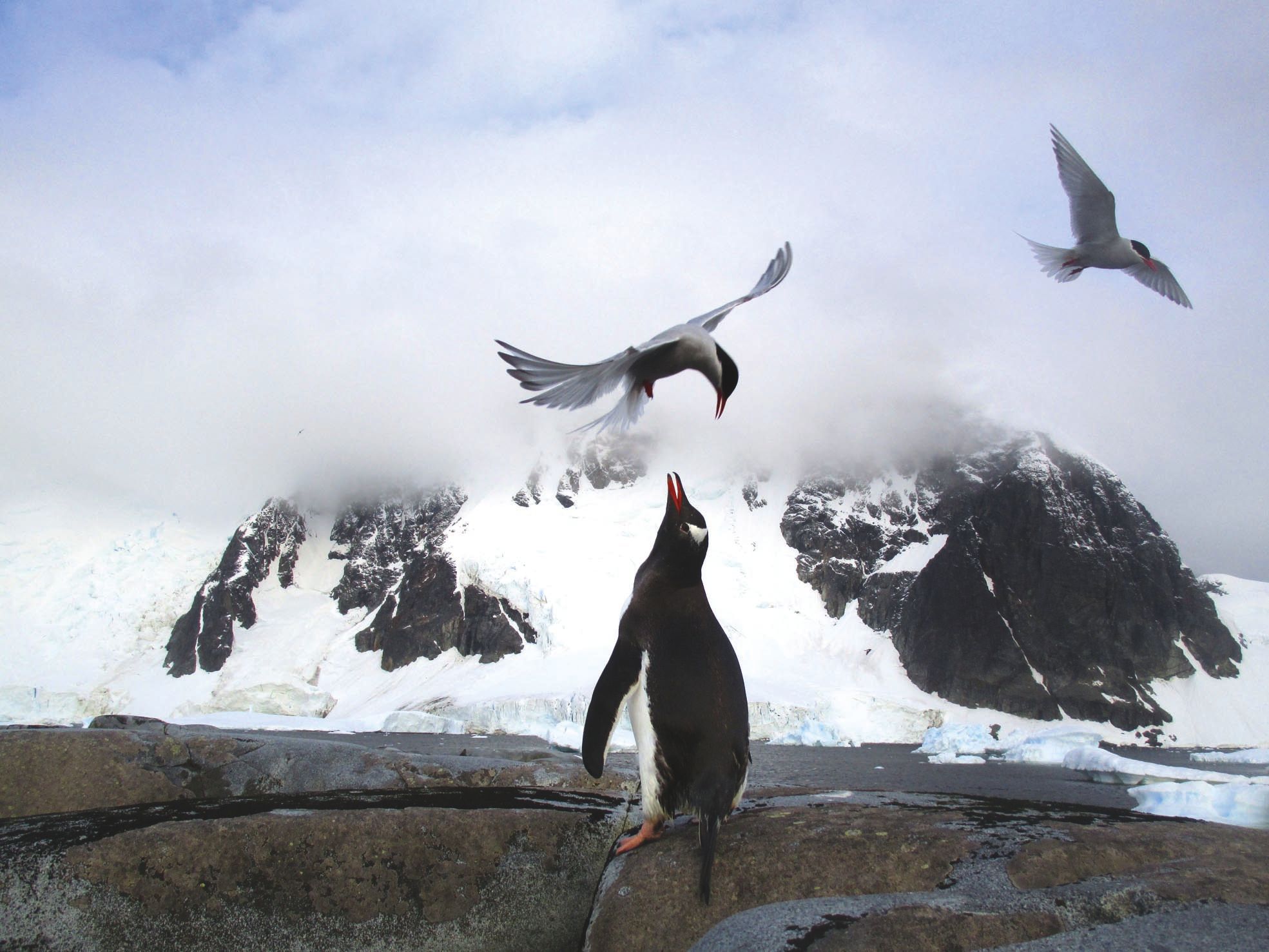 La nature est omniprésente, la faune sauvage mais pas  forcément farouche, puisque peu habituée à rencontrer  des êtres humains.