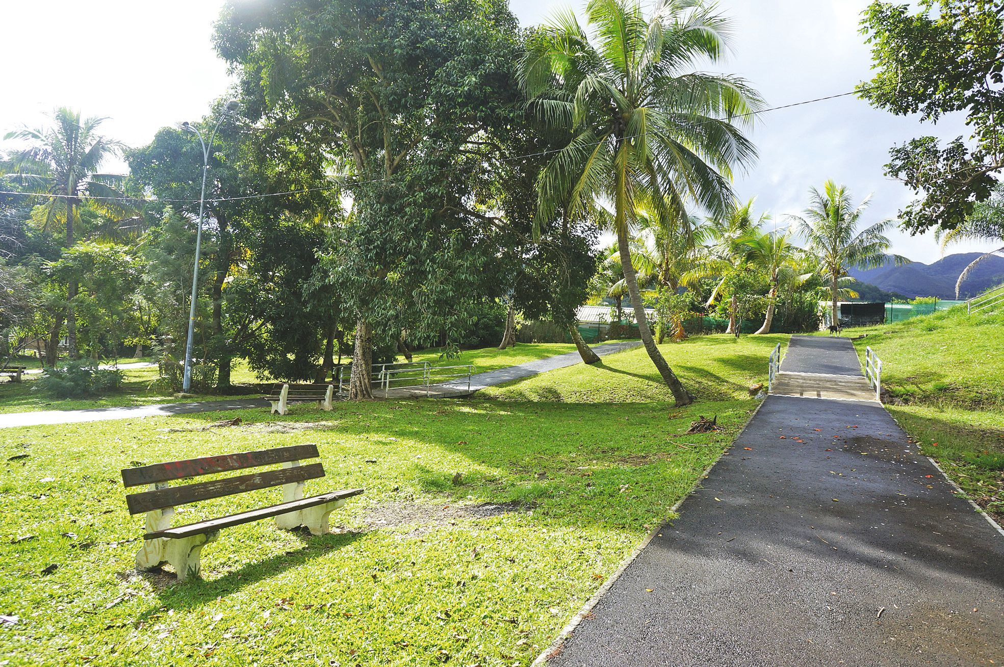 Le parc Diard, à Yahoué, est déserté par les riverains. Trop encaissé, il est fréquenté par des fêtards qui laissent leurs canettes et leurs bouteilles en partant. Une étude a été lancée pour trouver les moyens de le réhabiliter.
