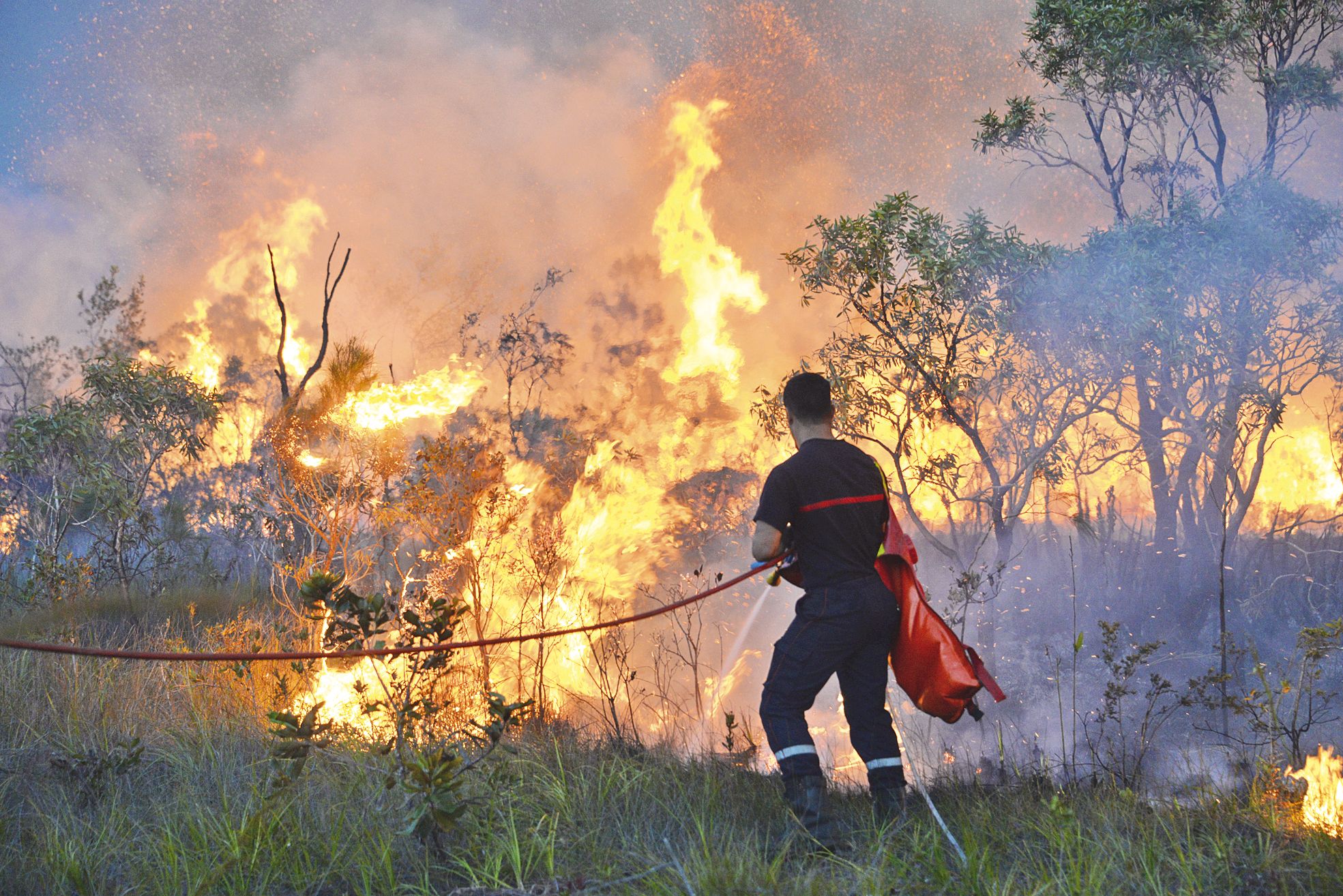 Les incendies engloutissent petit à petit les lisières, qui se  reconstituent toujours aux dépens de la forêt.
