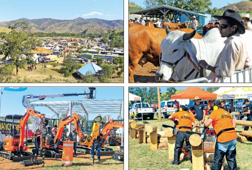 La Foire est un moment de fierté pour les éleveurs qui présentent leurs plus beaux spécimens. C’est aussi l’occasion de faire la démonstration de son savoir-faire de stockman, ou de se renseigner sur les dernières machines.