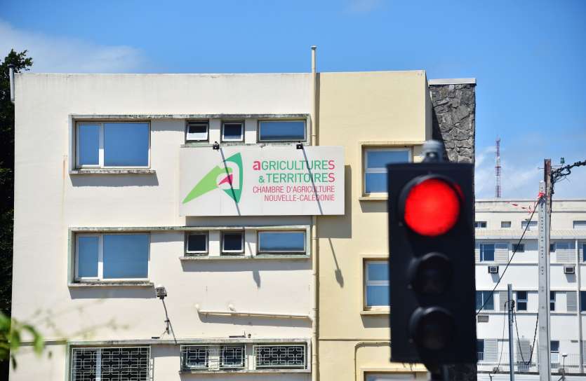 Établissement public administratif, la Chambre d’agriculture est gérée par une assemblée de 35 professionnels élus au sein du secteur. Elle compte 75 salariés de droit privé.