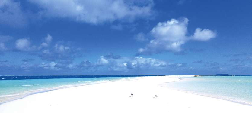 La décision, demandée par certains clans de Vao, a été prise par Hilarion Vendégou. Le grand chef et maire est resté  injoignable pour la commenter hier. Certains prestataires de tourisme espèrent toutefois une levée rapide de l’interdiction.