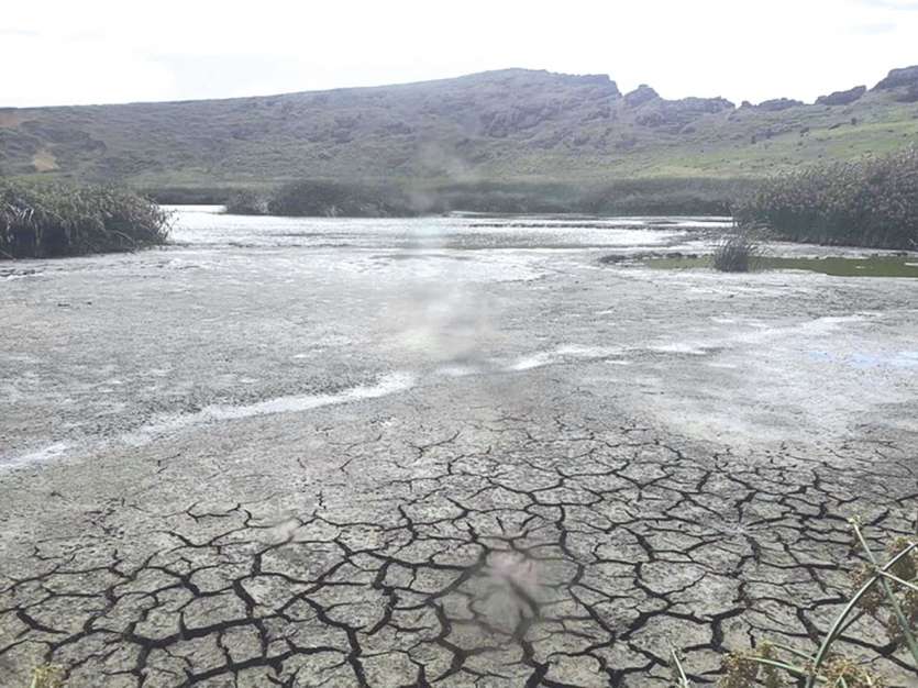 La surface du lac du cratère du Rano Raraku est craquelée par la sécheresse.