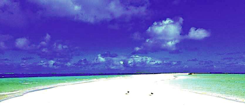 L’îlot, fierté des Kunié, est interdit d’accès depuis juin. Officiellement pour des raisons environnementales. PhotoYoshihiro Yamada