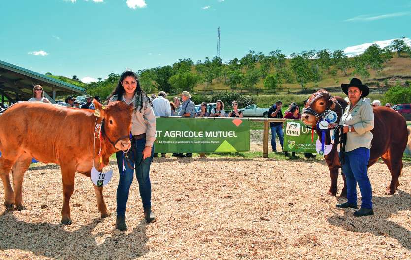 Comme chaque année, l’UPRA Bovine a organisé le concours de bovin. Nera, une femelle Limousine de 13 mois de l’élevage SCIR  Le Gabe, et Murphy, un mâle de race Droughtmaster de 22 mois de l’élevage de Bernard Darras, ont été sacrés respectivement super c