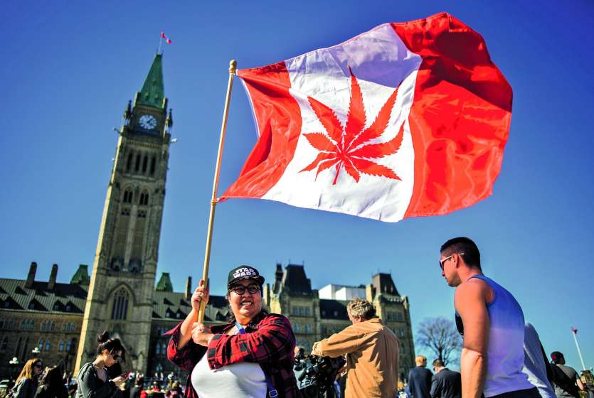 Près de 5 millions de Canadiens (16 % de la population) ont consommé 773 tonnes de cannabis en 2017,dont une infime partie à des fins thérapeutiquesPhoto AFP