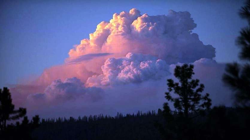 Paradoxe de ces incendies, un magnifique pyrocumulus de 9 kilomètres de haut est apparu au-dessus du parc national de Bunyip. En effet, ce nuage de la famille des cumulus se forme au-dessus d’une source de chaleur intense : volcans, incendies, usines etc.