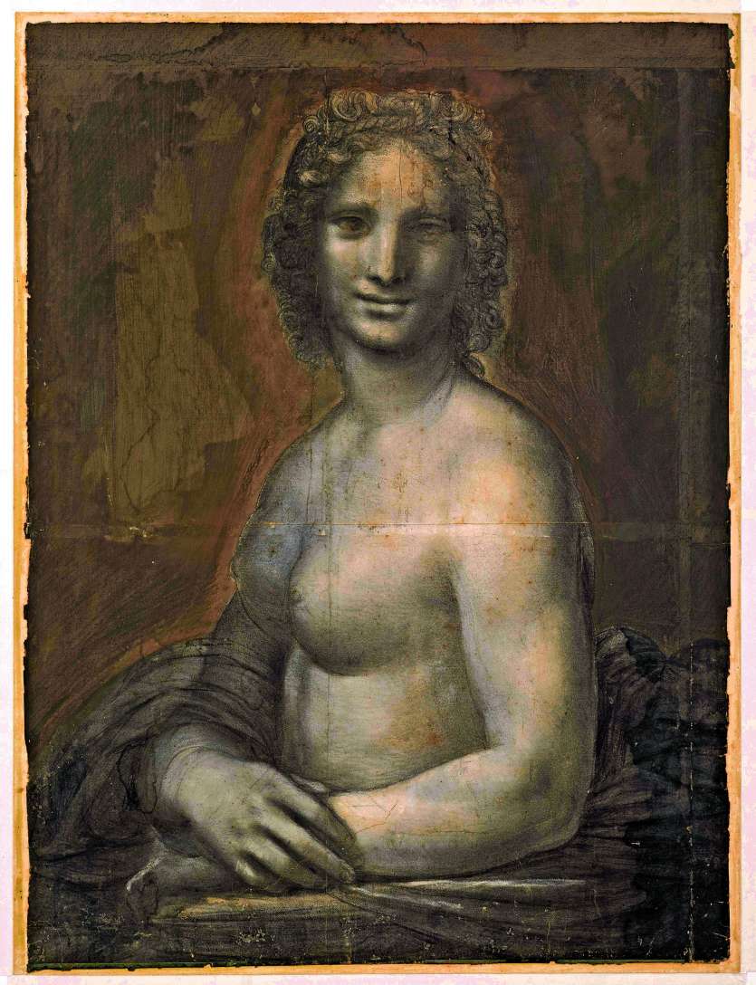 « Il y a une très grande possibilité que Léonard ait réalisé la plus grande partie du dessin. Mais on veut rester sérieux et scientifiques. On n’a pas de certitude ultime que Léonard soit l’auteur du dessin et on n’en aura jamais », précise le conservateu