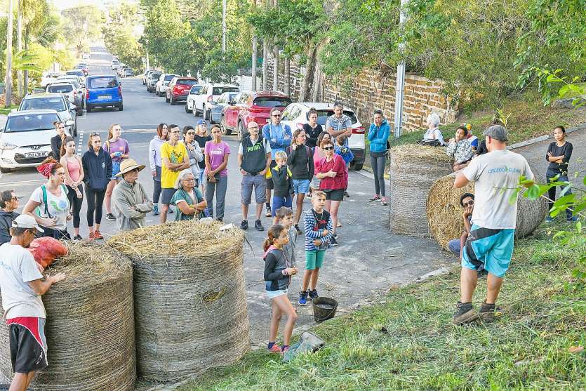 L’association Forêt sèche du Mont-Vénus a donné une parcelle à Caledoclean, au-dessus de la rue Emile-Zola, qui l’entretient désormais.Photo Niko