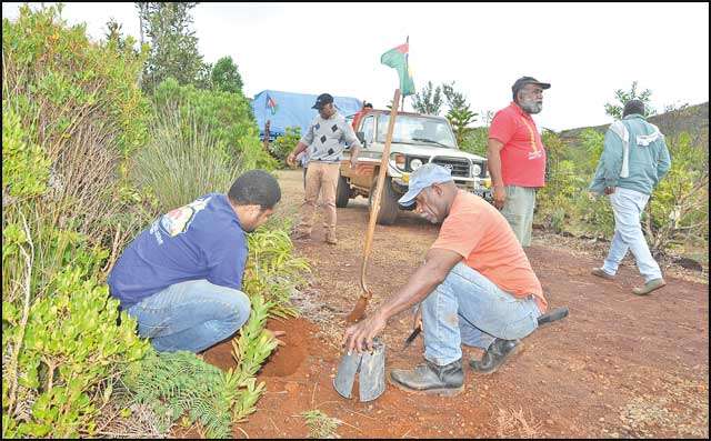 Des plantations ont été effectuées près de la case de Rhéébù Nùù avant de monter vers le « bois tabou ».