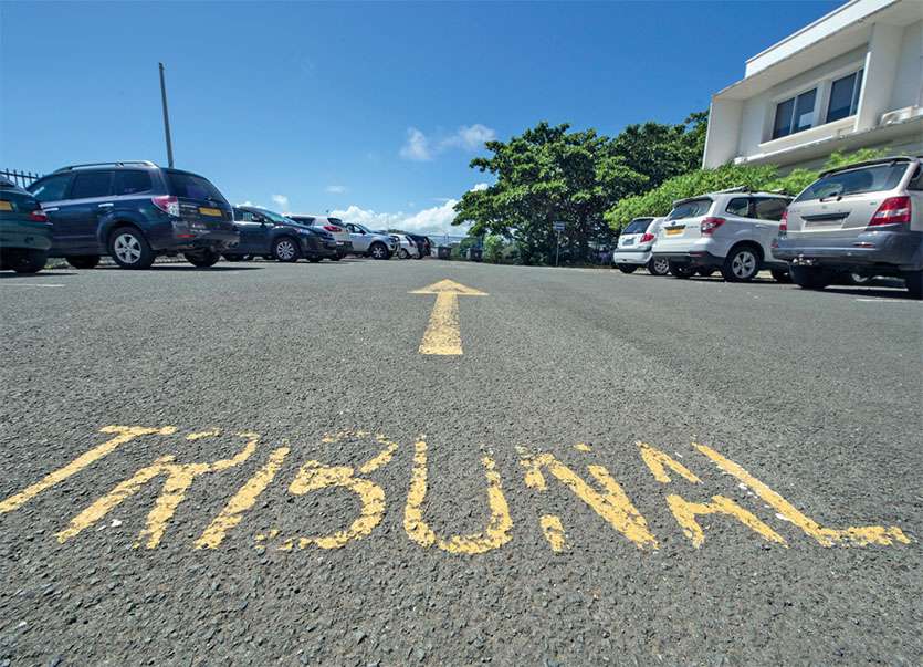 Dans le jardin du domicile familial, une quarantaine de plants de cannabis ont été retrouvés. Photo archives LNC