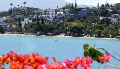 Alerte au requin à la baie des Citrons et à l'Anse-Vata