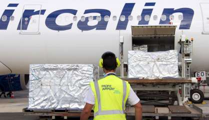 [VIDÉO] L’avion-cargo de Noël est revenu de Nouvelle-Zélande les soutes pleines de mets délicieux