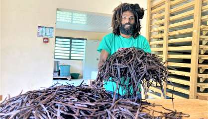 [VIDÉO] La vanille des Loyauté, une richesse sous-exploitée