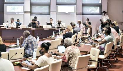 Le Congrès planche pour trouver des ressources pour sauver le Ruamm