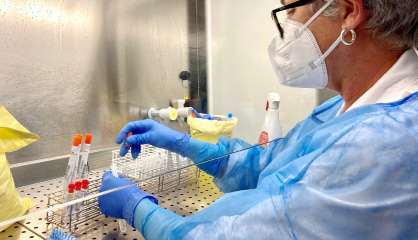 Sept nouveaux cas probables du variant Omicron