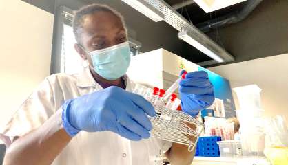 Covid : trente nouveaux cas détectés