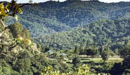 La Foa : le parc des Grandes Fougères fermé à cause des intempéries
