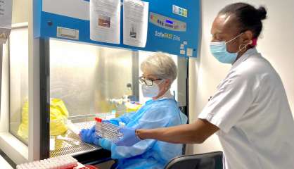 Le variant Omicron concerne désormais plus de 50% des tests positifs