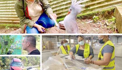 Le tour de l’actualité du mercredi 12 janvier en Nouvelle-Calédonie