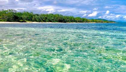 Les baigneurs évacués de la plage de Poé après une alerte requin