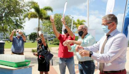 Mont-Dore : les premiers moustiques porteurs de la bactérie Wolbachia lâchés sur la commune