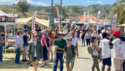 Entente sur les prix : des sociétés agricoles calédoniennes condamnées à payer 54 millions de francs