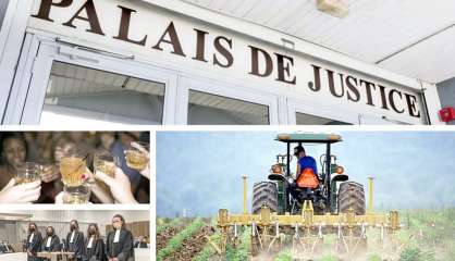 Le tour de l'actualité du jeudi 27 janvier en Nouvelle-Calédonie  