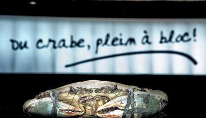 C’est parti pour la pêche aux crabes et aux picots