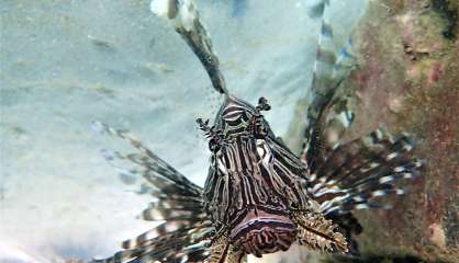 Une sortie PMT gratuite pour découvrir les fonds de la BD