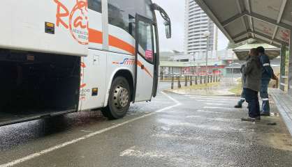 Bateau, avions, cars… Le point sur les transports après Dovi